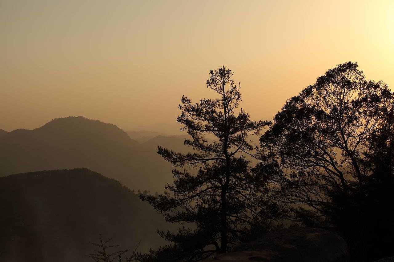 The Naldehra Hotel Shimla Exterior foto